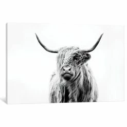 Promo 🤩 ICanvas "Portrait Of A Highland Cow" By Dorit Fuhg, 40x26x0.75" 🛒