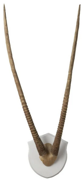 Best Pirce ✨ Bailey Street Home Faux Gazelle Horn Made From Resin Version 1 Eclectic Living Room Bedroom - 40 🔥 3 Best Pirce ✨ Bailey Street Home Faux Gazelle Horn Made From Resin Version 1 Eclectic Living Room Bedroom - 40 🔥