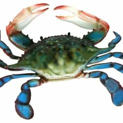 Best Pirce 🧨 Charlotte International Coastal Maryland 10 Inch Blue Crab Beach Bath Hall Or Nursery Wall 🔔
