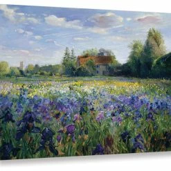 Coupon ✨ Brushstone Evening At The Iris Field, 36"x48" 🔥