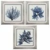 Top 10 🛒 PROPAC IMAGES Coastal Seaweed, Set Of 3 ✔️