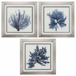 Top 10 🛒 PROPAC IMAGES Coastal Seaweed, Set Of 3 ✔️