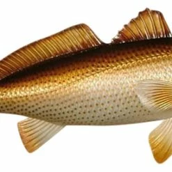 Discount ✔️ Charlotte International Replica Red Drum Fish Ocean Restaurant Wall Decor 28 Inch 👍